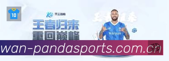 熊猫体育平台展示图